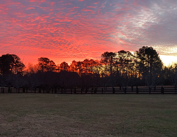 Beauty All Around