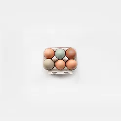 6 Organic Eggs